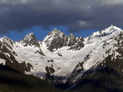 Bild 17 aus  Haus Wille