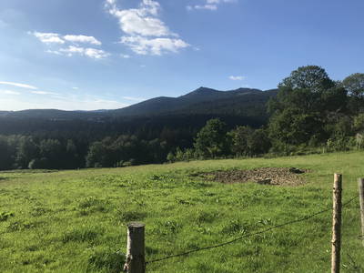 Bild 9 aus  Gästehaus Schmalzreich