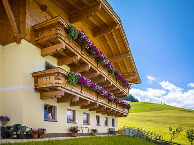 Bild 26 aus  Oberhaushof