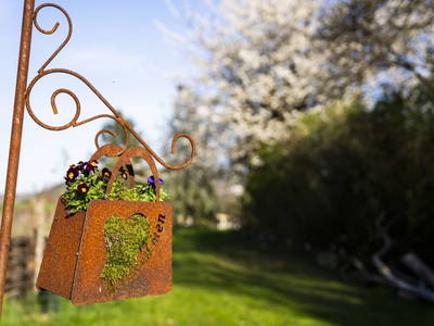 Bild 5 aus  Naturgartenurlaub - Steffis Ferienwohnungen