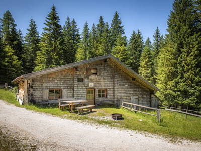 Bild 58 aus  Hintereggalm