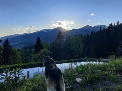 Bild 34 aus  Almchalet Nikola