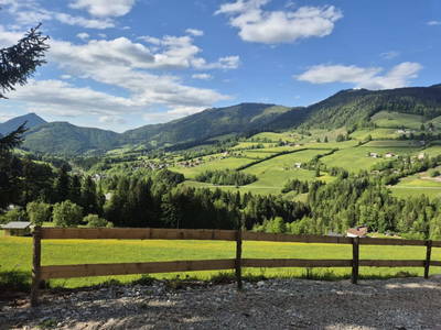 Bild 17 aus  Sommerkino - Schäferhütte