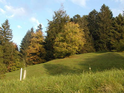 Bild 29 aus  Ferienhof-Felder