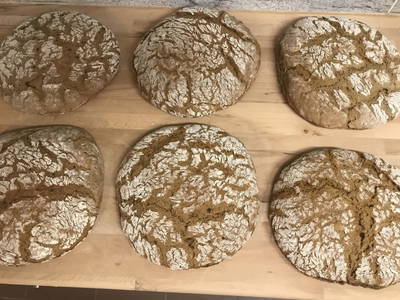 Bild 240 aus  Seewaldhof