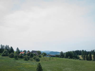 Bild 74 aus  Ferienwohnung Biohof Brandner