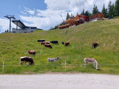 Bild 24 aus  Chalet Vierlauchen