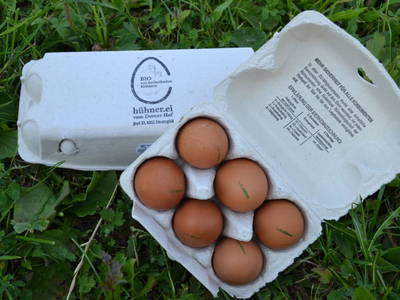 Bild 81 aus  Dorner Hof