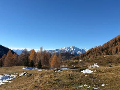Bild 12 aus  Suntinger Kasa