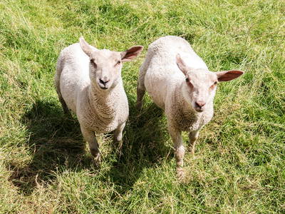 Bild 8 aus  Ferienhof Claußen