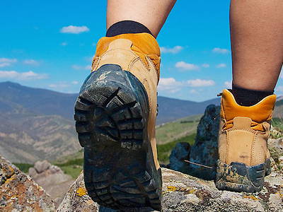 Bild 3 aus  Gästehaus Schmalzreich