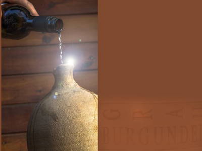 Bild 61 aus Monschein Demeterweingut