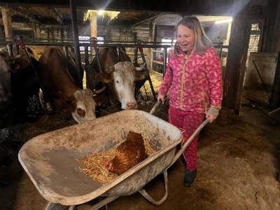 Bild 35 aus  Hirzhof