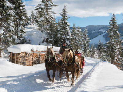 Bild 110 aus  Bergbauernhof Brandgut
