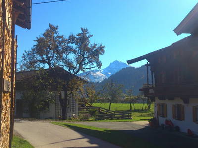 Bild 48 aus  Blattlbauer