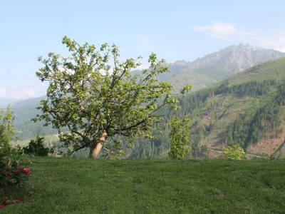 Bild 177 aus Untererschbaum