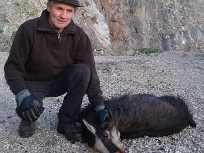 Bild 19 aus  Lehnerhof