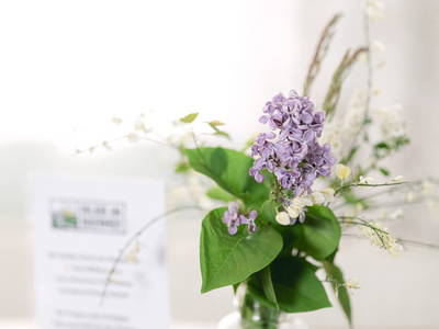 Bild 293 aus  Pimperlhof