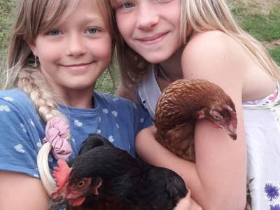 Bild 57 aus  Bauernhof Hofmayer