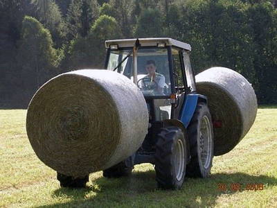 Bild 60 aus   Pammer - Jahn