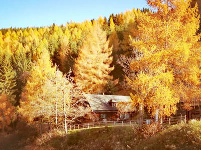 Bild 42 aus  Größingalm