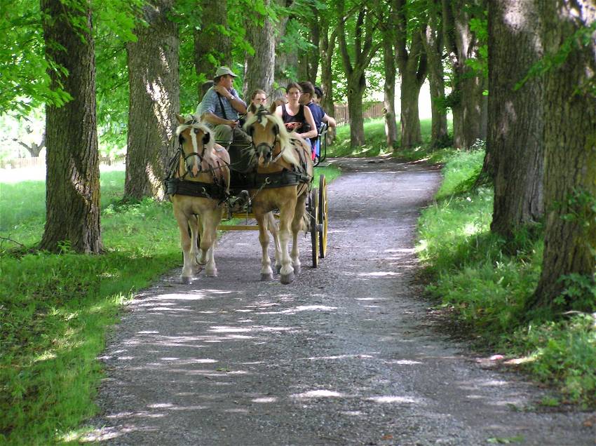 Hütte am Teich in St. Peter am Kammersberg Unterkunft buchen