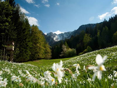 Bild 26 aus  LandSelection Landgut Moserhof