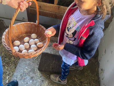 Bild 93 aus  Bauernhof Perhinig