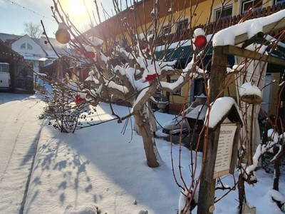 Bild 53 aus  Weingut Parth - Gästezimmer zur Schlafmütze