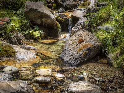 Bild 52 aus  Hintereggalm