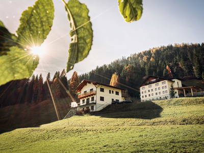 Bild 2 aus  Rohrerhof