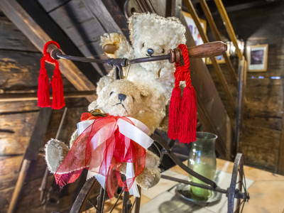 Bild 87 aus  Schwaigerlehen - Berngarten