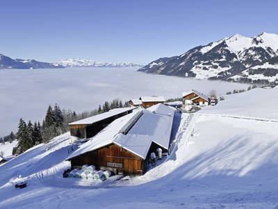 Bild 36 aus  Berghof