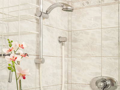 Bild 40 aus  Bio Bauernhof Paulbauer