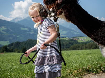 Bild 45 aus  Wichtelhütte