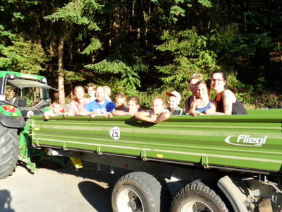 Bild 38 aus  Steffahof - Mitglied von LandSelection