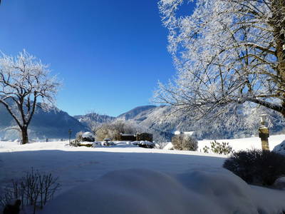 Bild 43 aus  Lehnerhof