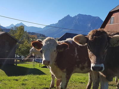 Bild 44 aus  Hüttstädterhof