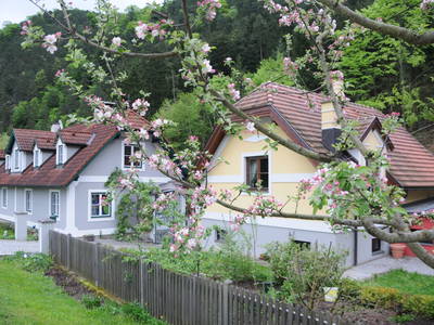 Bild 2 aus  Ferienhaus und Apartment Idolsberg