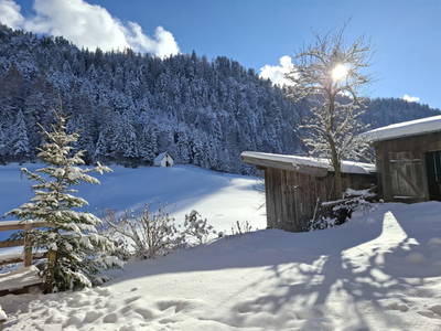 Bild 57 aus  Hinterschwarzenberg