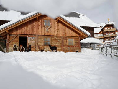 Bild 76 aus  Familienhotel-Gasthof Hinteregger