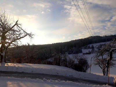 Bild 31 aus Biobauernhof Leitner Zizlbauer