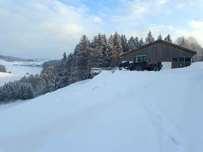 Bild 29 aus Biobauernhof Leitner Zizlbauer