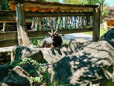 Bild 50 aus  Römerweg