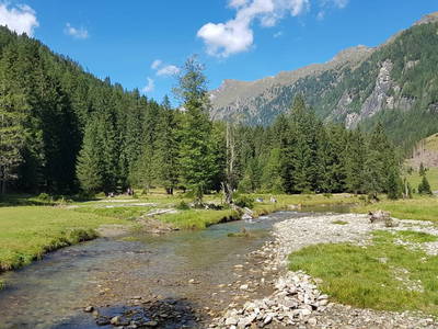 Bild 100 aus  Sportbauernhof Hochalmblick