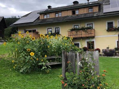 Bild 36 aus  Schobergut