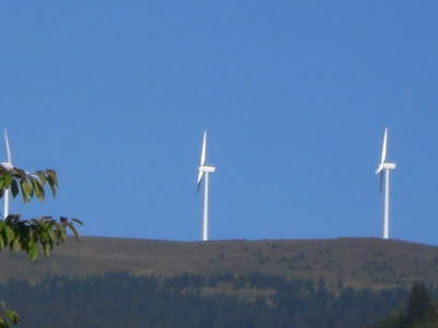 Bild 21 aus  Streiblhof