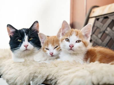 Bild 26 aus  Sinnhubgut