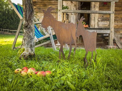 Bild 13 aus  Bio Bauernhof Paulbauer