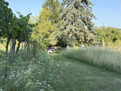 Bild 59 aus  Naturgartenurlaub - Steffis Ferienwohnungen